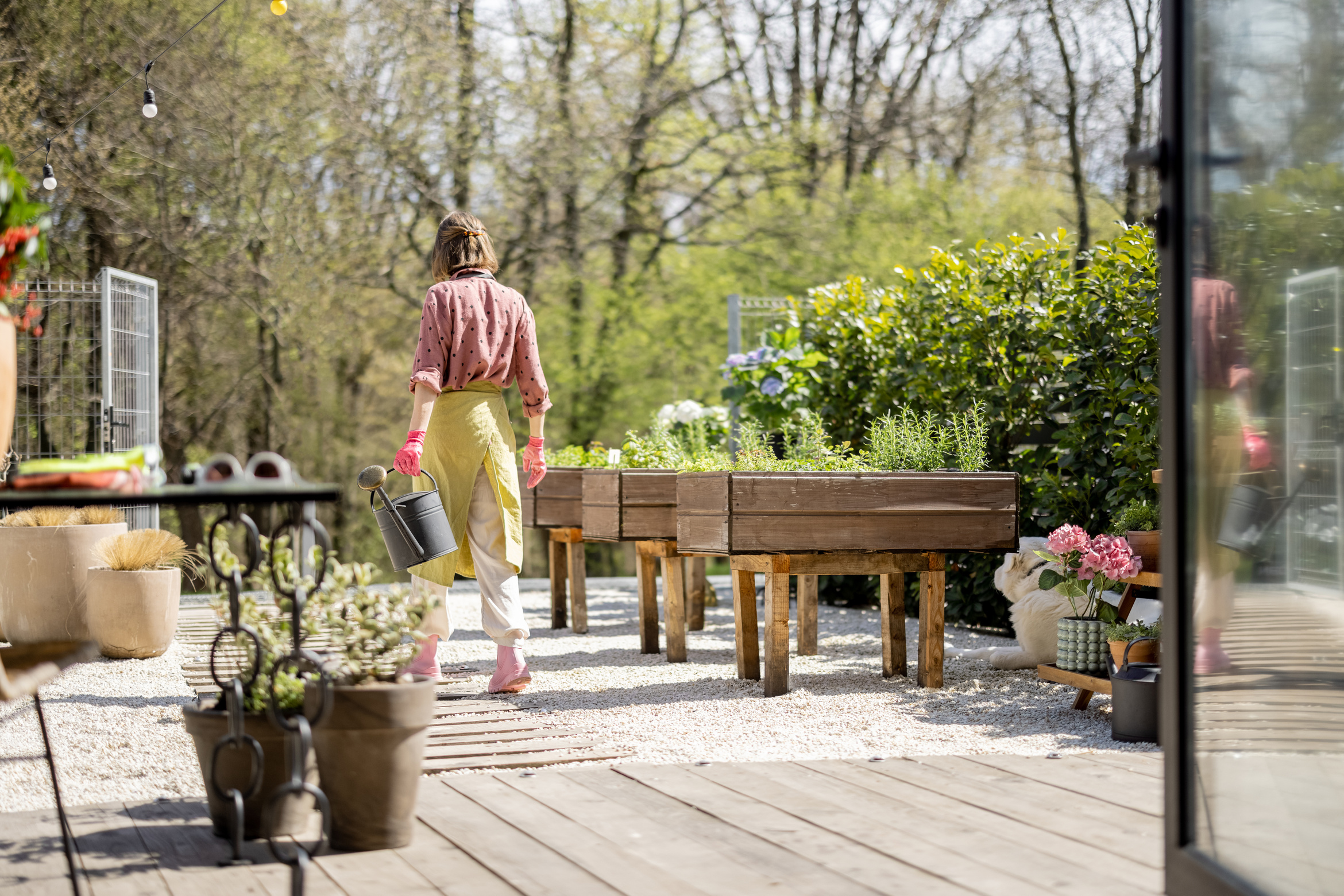 Woman at Backyard Vegetable Garden